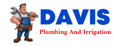 Trusted plumber in CLARION